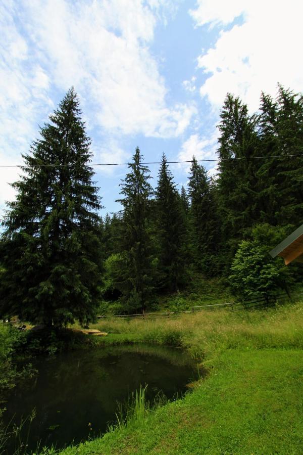 Appartamento Hrystyna Yablunytsya Esterno foto