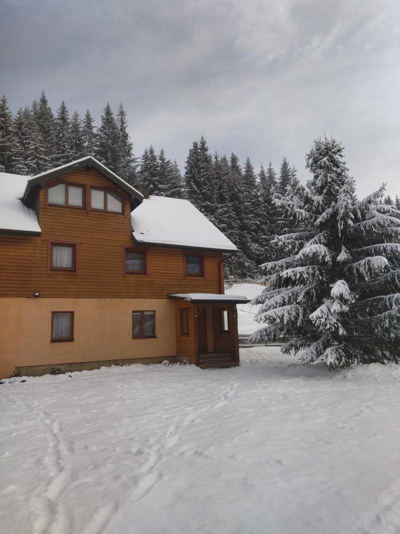 Appartamento Hrystyna Yablunytsya Esterno foto